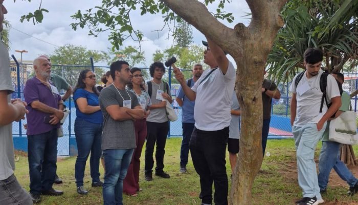 Divulgação A certificação concedida pela Arbor Day Foundation em parceria com a FAO