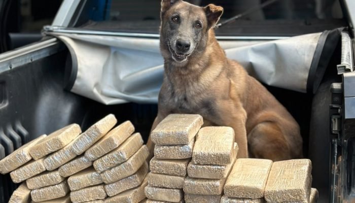 Foto: Polícia Federal