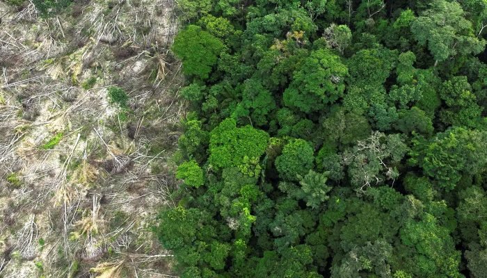 © Reuters/Ueslei Marcelino