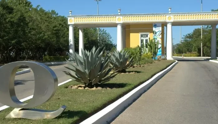 destaque_cropped_2884_8e4c996a-1db7-4f98-a755-4ff81277fdf1