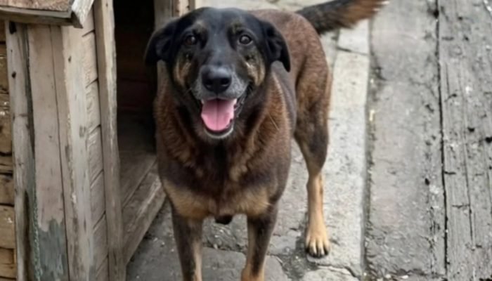 Foto:  @ivomeirelles via Instagram