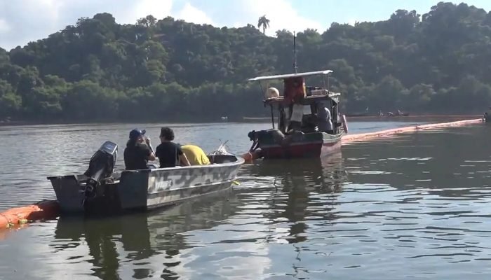 © Edgar Costa/Fundação Grupo Boticário